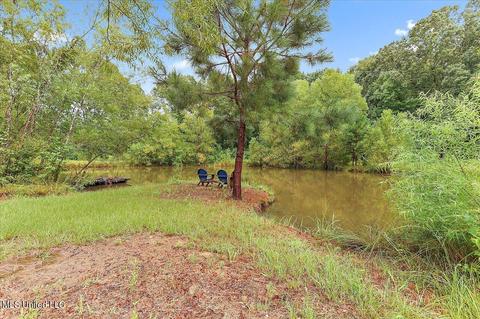 1303 Hickory Ln, Terry, MS 39170 photo 30
