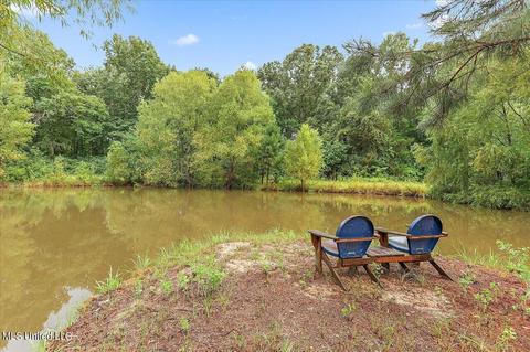 1303 Hickory Ln, Terry, MS 39170 photo 31