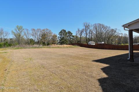 4096 Bakersfield Dr, Nesbit, MS 38651 photo 40