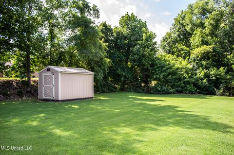 7715 Morningside Cv, Walls, MS 38680 photo 20