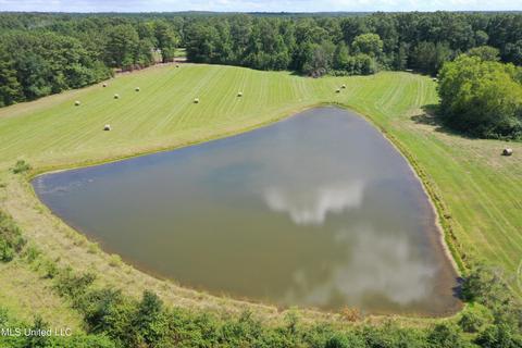 Sharon Rd, Canton, MS 39046 photo 8