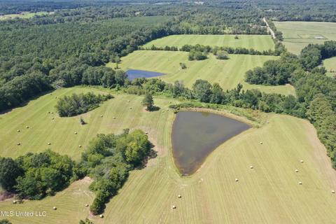 Sharon Rd, Canton, MS 39046 photo 4