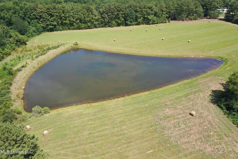 Sharon Rd, Canton, MS 39046 photo 9