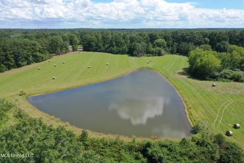 Sharon Rd, Canton, MS 39046 photo 1