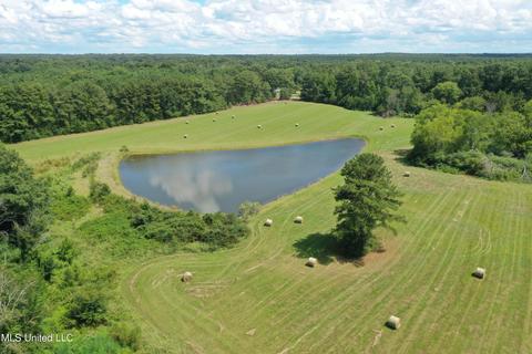 Sharon Rd, Canton, MS 39046 photo 2