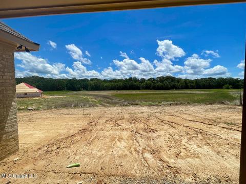 104 Willow Way, Canton, MS 39046 photo 23