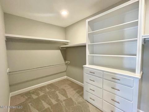 104 Willow Way, Canton, MS 39046 photo 19