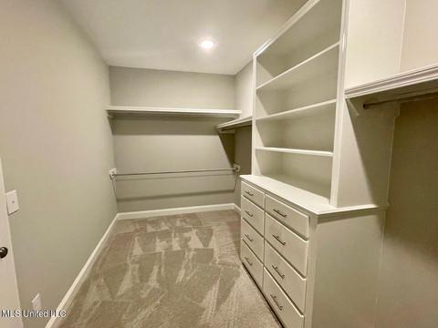 104 Willow Way, Canton, MS 39046 photo 21