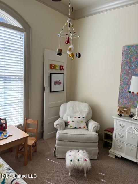 404 Scarlet Cv, Flowood, MS 39232 photo 24