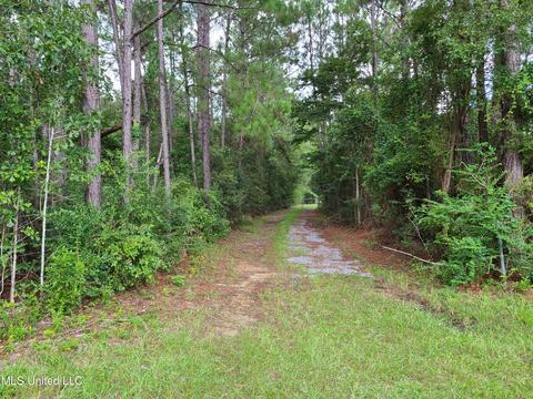 17420 Cj Dellie Rd, Saucier, MS 39574 photo 1