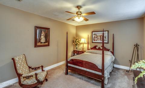 111 Langford Dr, Brandon, MS 39047 photo 65