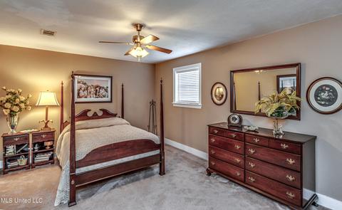 111 Langford Dr, Brandon, MS 39047 photo 64