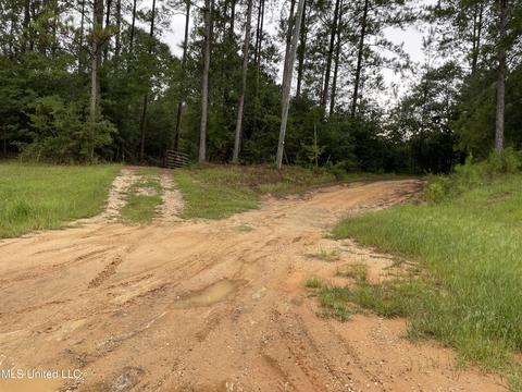 26105 Highway 63, Lucedale, MS 39452 photo 17