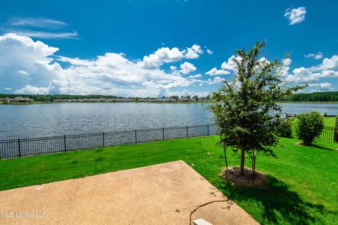 112 Camden Trl, Madison, MS 39110 photo 49