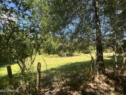 197 Airport Rd, Eupora, MS 39744 photo 28