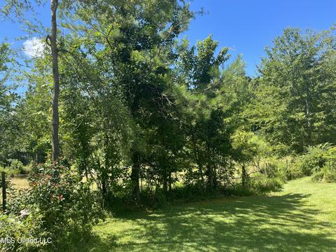 197 Airport Rd, Eupora, MS 39744 photo 19