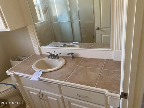 146 E Annandale Pkwy, Madison, MS 39110 photo 5