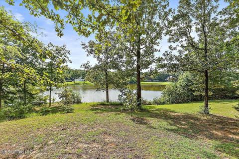 5 Gadwall Pt, Raymond, MS 39154 photo 36