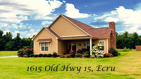 1615 Old Highway 15, Ecru, MS 38841 photo 1