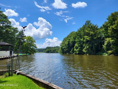 703 Forest Point Dr, Brandon, MS 39047 photo 3