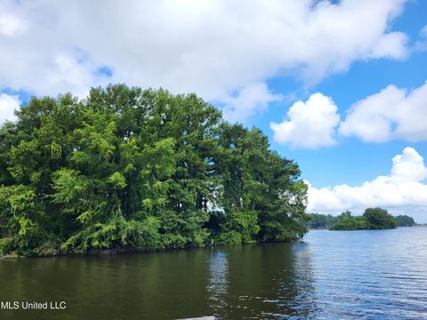 703 Forest Point Dr, Brandon, MS 39047 photo 26