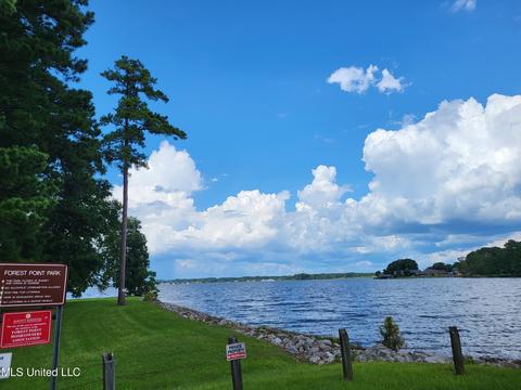 703 Forest Point Dr, Brandon, MS 39047 photo 27