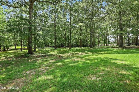 150 Lakeview Rd, Brandon, MS 39047 photo 35