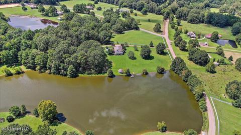 150 Lakeview Rd, Brandon, MS 39047 photo 45