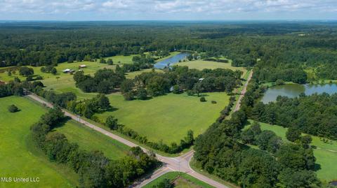 875 Robinson Rd, Canton, MS 39046 photo 69