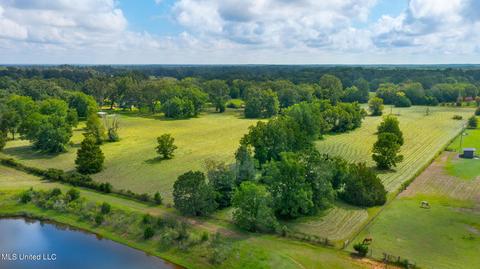 875 Robinson Rd, Canton, MS 39046 photo 75