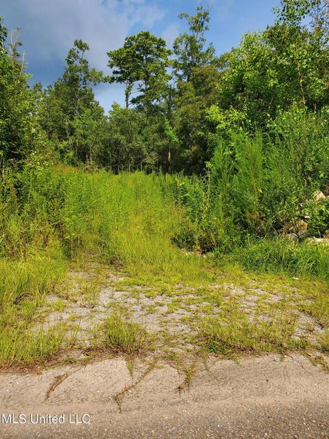 Maple Drive, Pearlington, MS 39572 photo 2