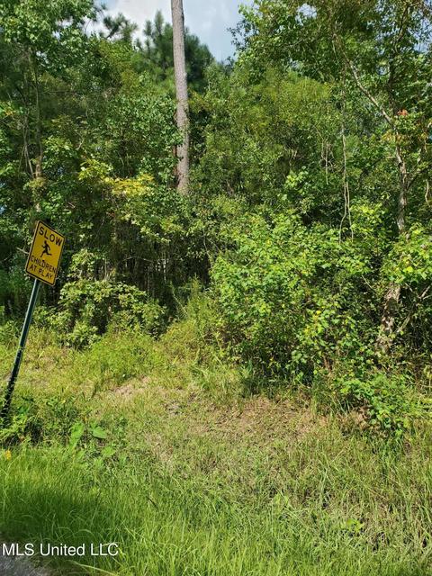 Maple Drive, Pearlington, MS 39572 photo 3