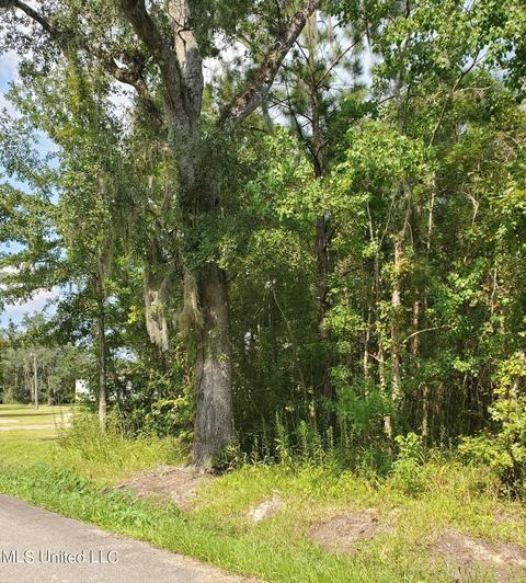 Maple Drive, Pearlington, MS 39572