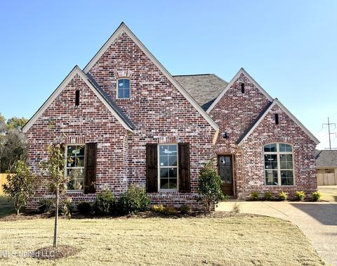 2950 Walking Dog Ln, Nesbit, MS 38651 photo 1
