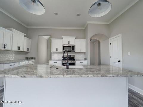 2950 Walking Dog Ln, Nesbit, MS 38651 photo 9