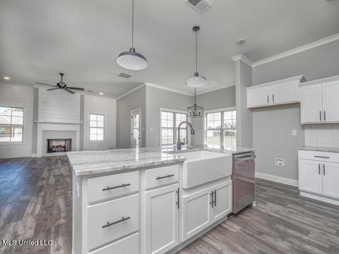 2950 Walking Dog Ln, Nesbit, MS 38651 photo 3