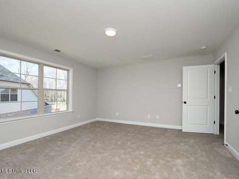 2950 Walking Dog Ln, Nesbit, MS 38651 photo 28