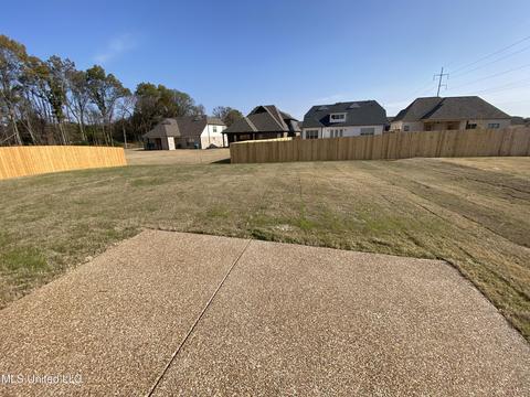 2950 Walking Dog Ln, Nesbit, MS 38651 photo 33