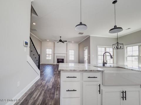 2950 Walking Dog Ln, Nesbit, MS 38651 photo 2