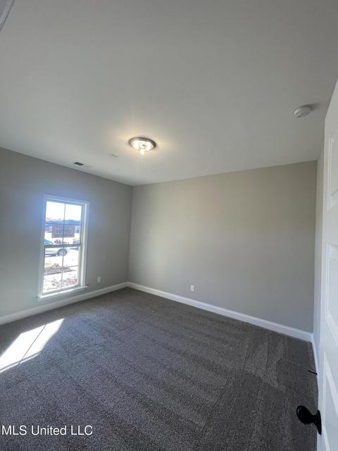 604 Millers Way, Hernando, MS 38632 photo 18