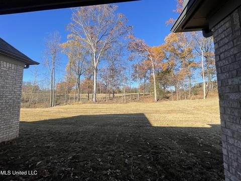 604 Millers Way, Hernando, MS 38632 photo 15