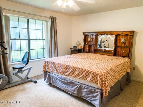 316 Lakeside Dr, Brandon, MS 39047 photo 43