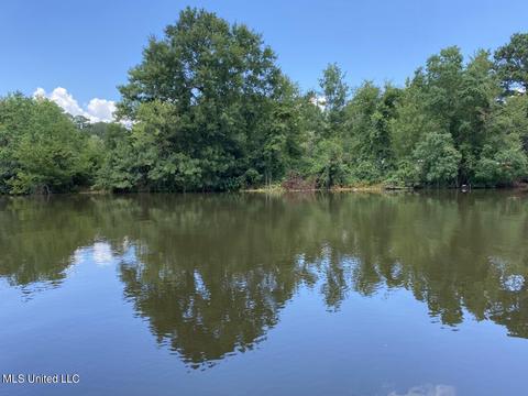 316 Lakeside Dr, Brandon, MS 39047 photo 51