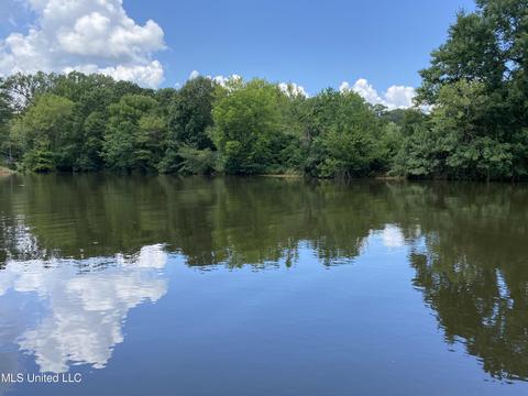 316 Lakeside Dr, Brandon, MS 39047 photo 9