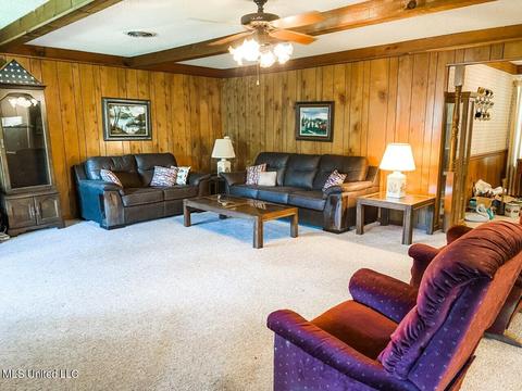 316 Lakeside Dr, Brandon, MS 39047 photo 26