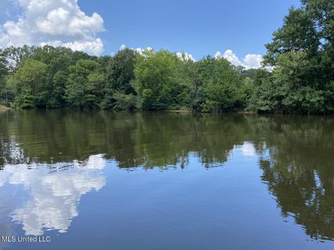 316 Lakeside Dr, Brandon, MS 39047 photo 50