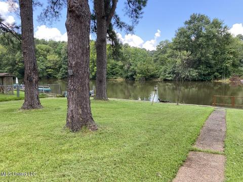 316 Lakeside Dr, Brandon, MS 39047 photo 53