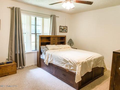 316 Lakeside Dr, Brandon, MS 39047 photo 38