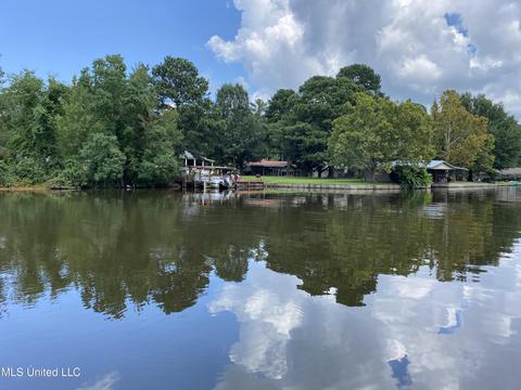 316 Lakeside Dr, Brandon, MS 39047 photo 8