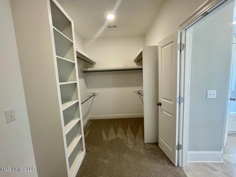116 Willow Way, Canton, MS 39046 photo 20